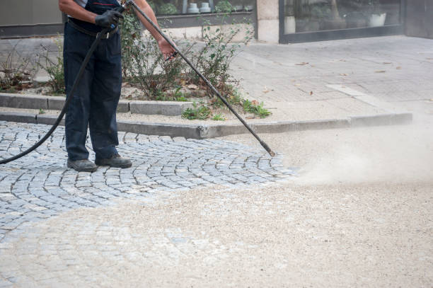 Best Fence Cleaning  in Silver Lakes, CA